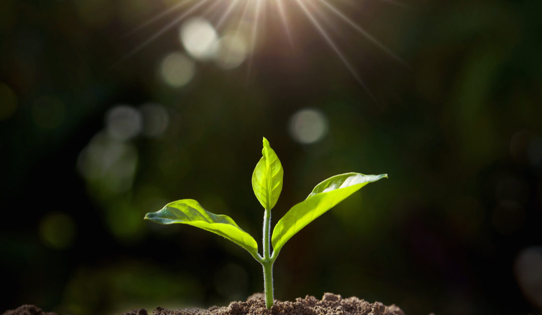 When should start-ups embark on PR?