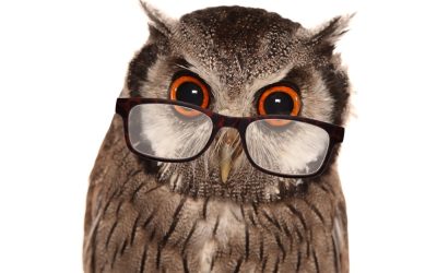 LinkedIn has moved on,  has your law firm kept up?