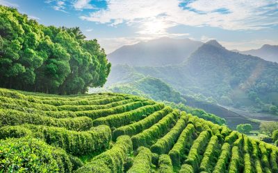 Achieving media coverage for a leading intellectual property firm