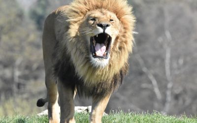 Why PR matters more than ever for law firms in 2026