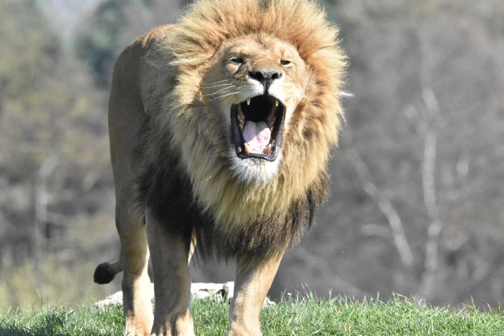 Why PR matters more than ever for law firms in 2026