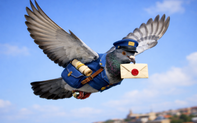 Five years of my monthly email newsletter – what I’ve learned along the way