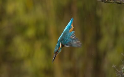 Sector focus is no longer a marketing option for law firms