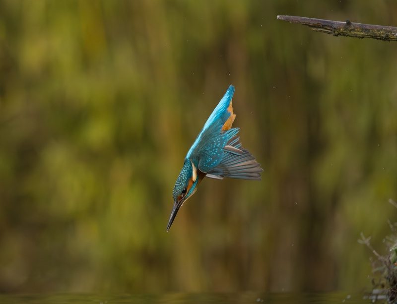 Sector focus is no longer an option for law firms