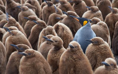 What journalists really want from law firm pitches