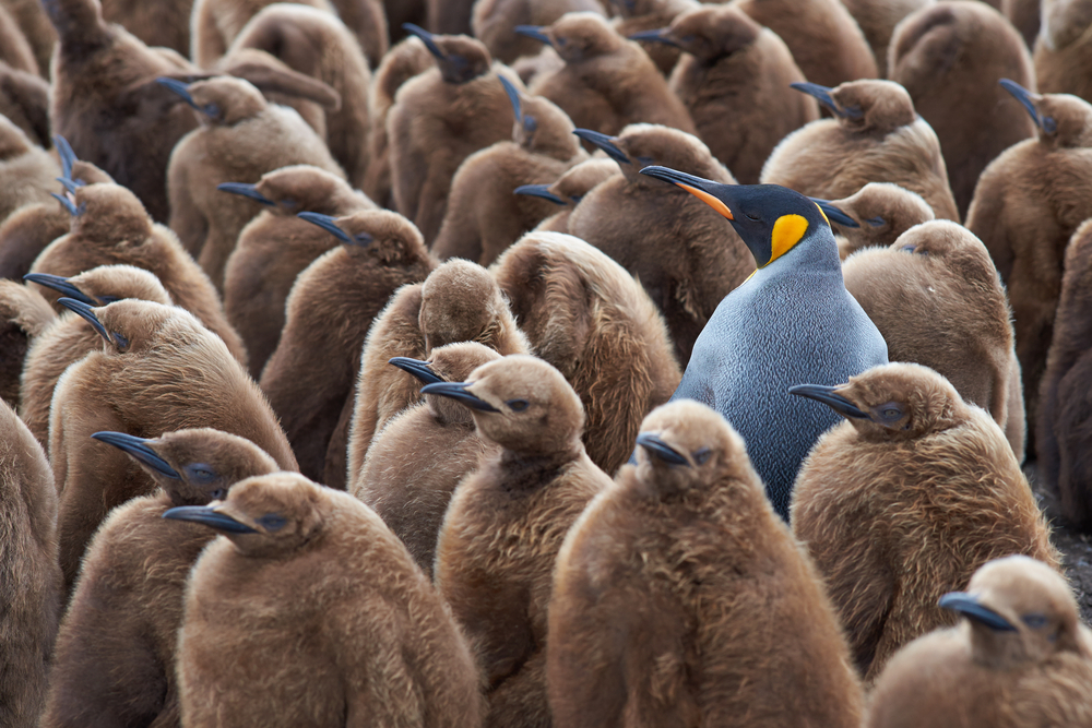 What journalists really want from law firm pitches