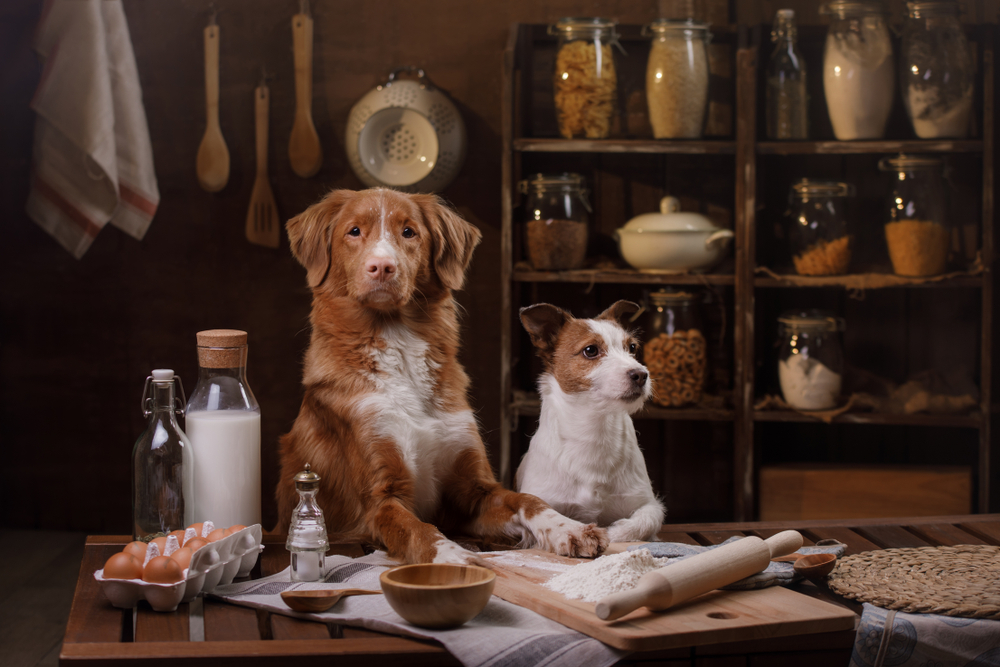 How to get the most out of your PR agency